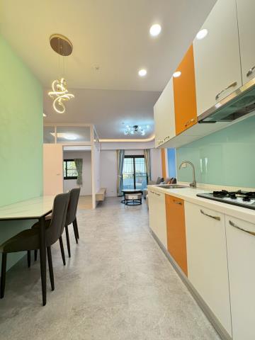 嘉義東區華廈-2