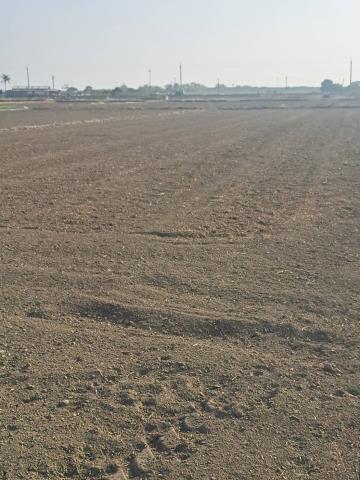 嘉義水上農地-2