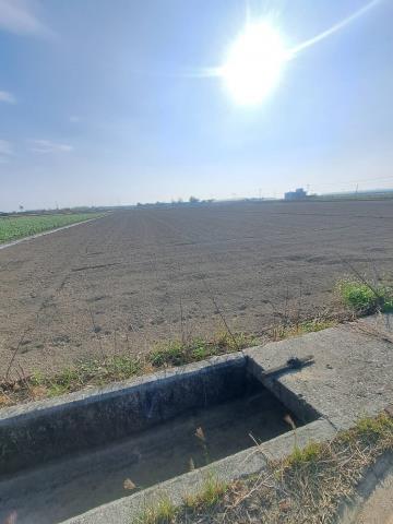 嘉義水上農地-3