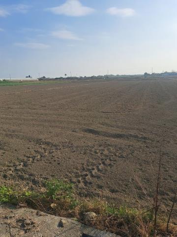 嘉義水上農地-4