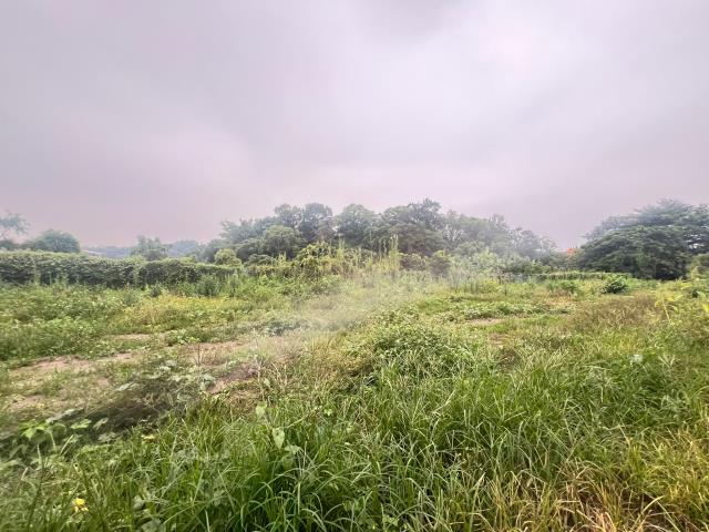 嘉義水上農地-0