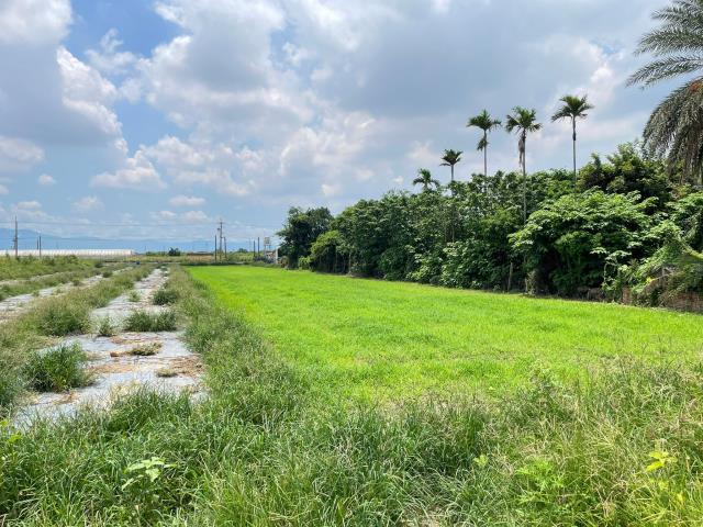 嘉義鹿草農地-2