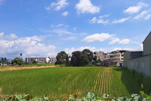 嘉義農地-2