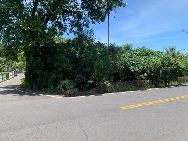 嘉義中埔農地-1