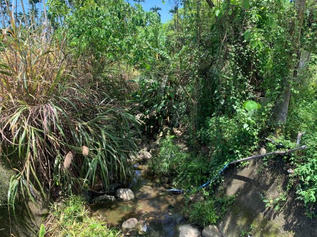 嘉義中埔農地-3