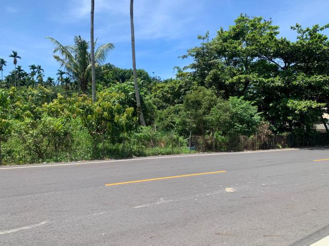 嘉義中埔農地-4