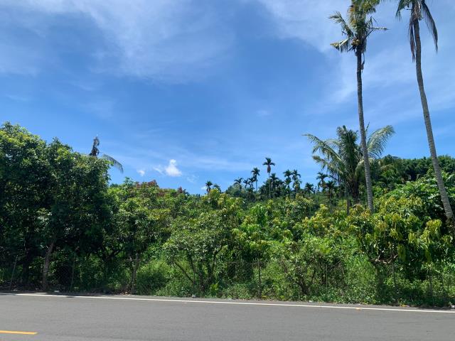 嘉義中埔農地-5