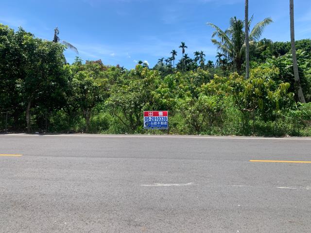 嘉義中埔農地-8