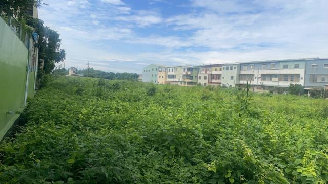 嘉義民雄農地-3