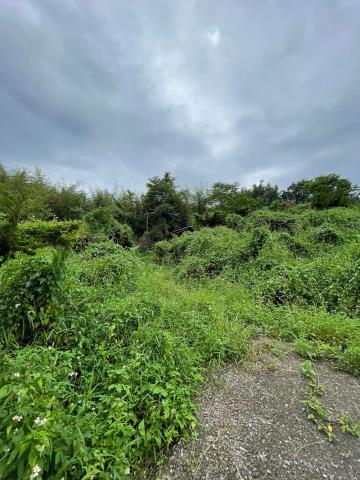 中埔農地-3