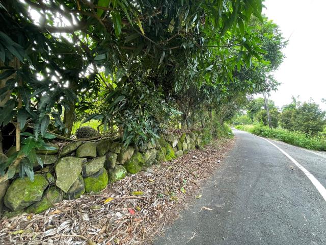 中埔農地-6