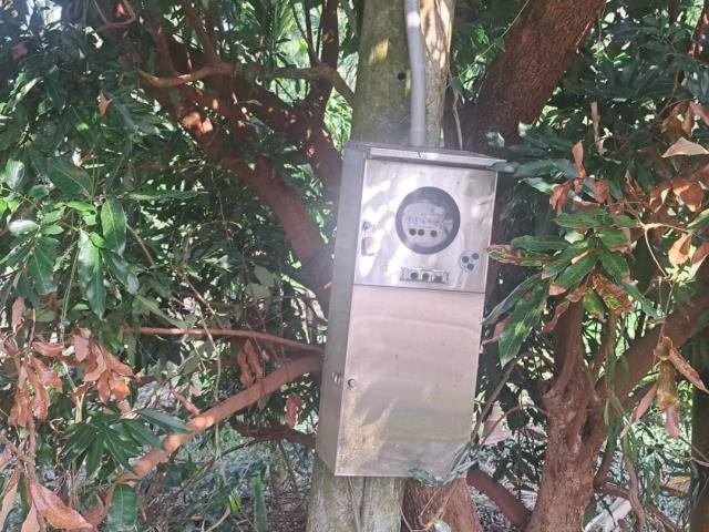 中埔農地-6