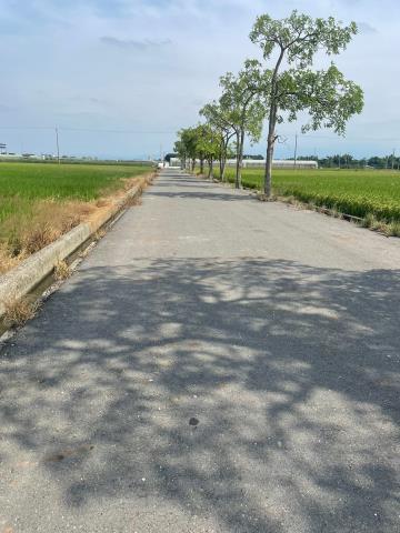 嘉義農地-9