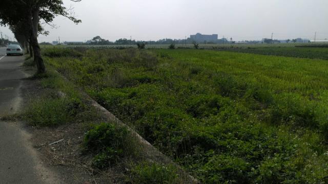 太保農地-5