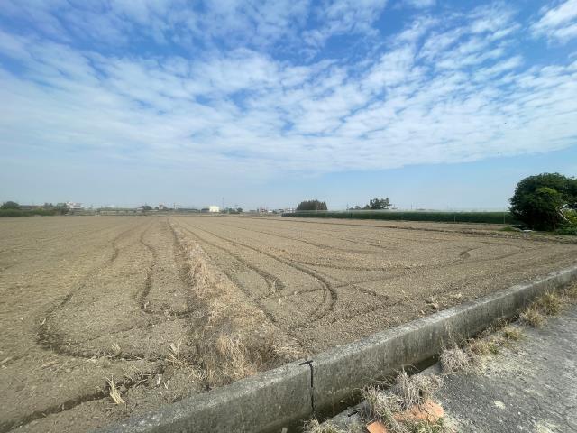 大林農地-1