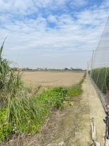 大林農地-2