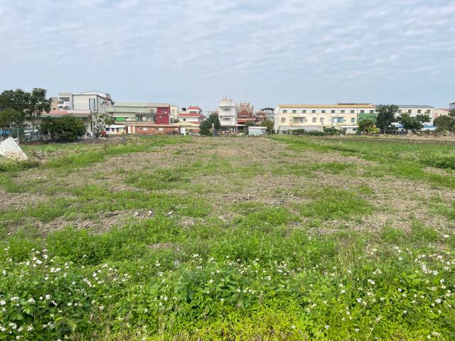 水上農地-1