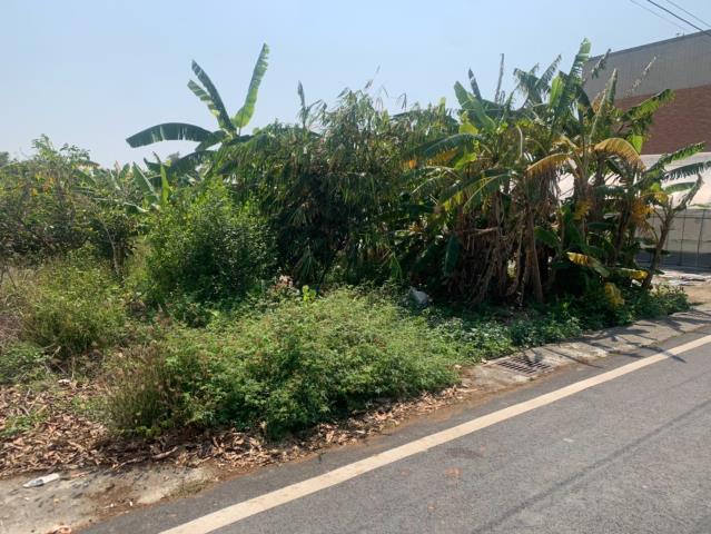 嘉義農地-7