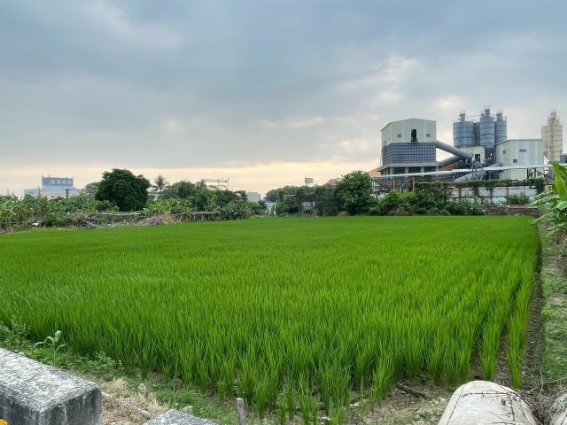 西區農地-3