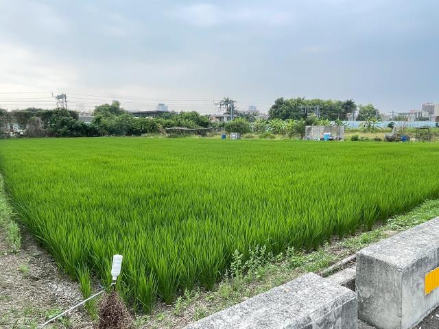 西區農地-1