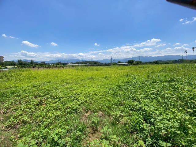 嘉義農地-10