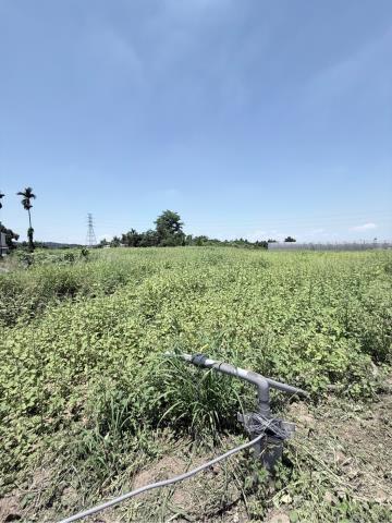 嘉義農地-1