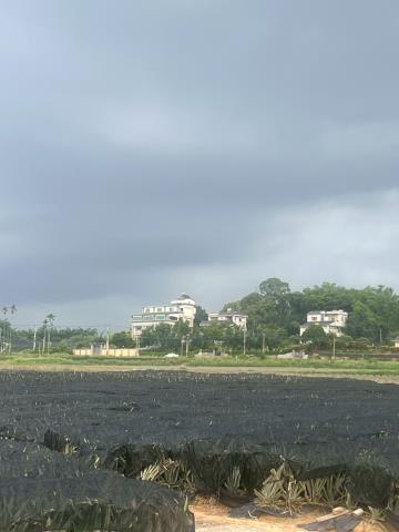 民雄農地-4