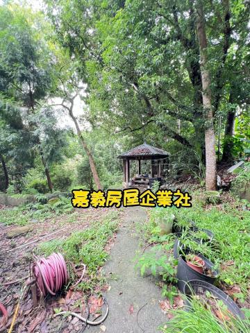 嘉義農地-9