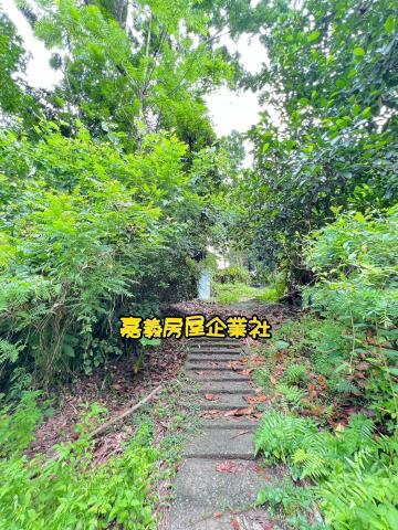 嘉義農地-10