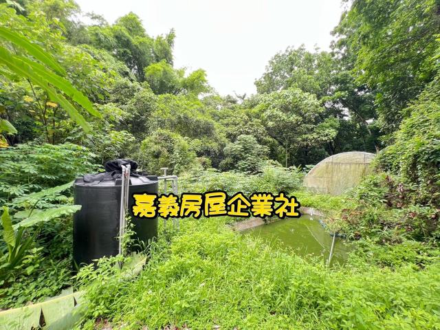 嘉義農地-3