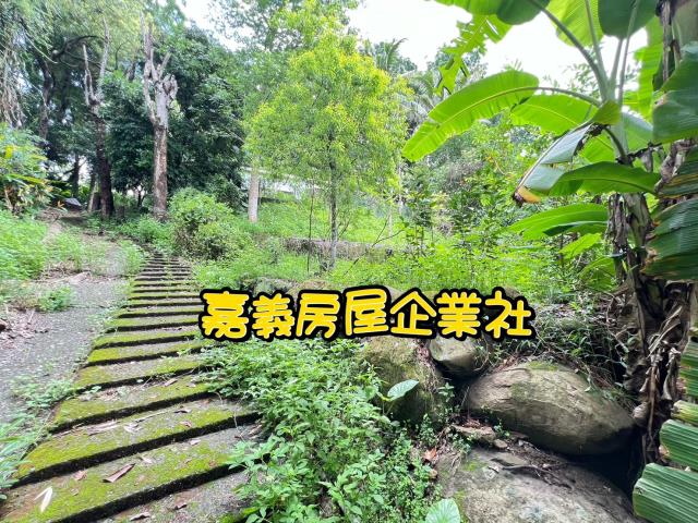 嘉義農地-4