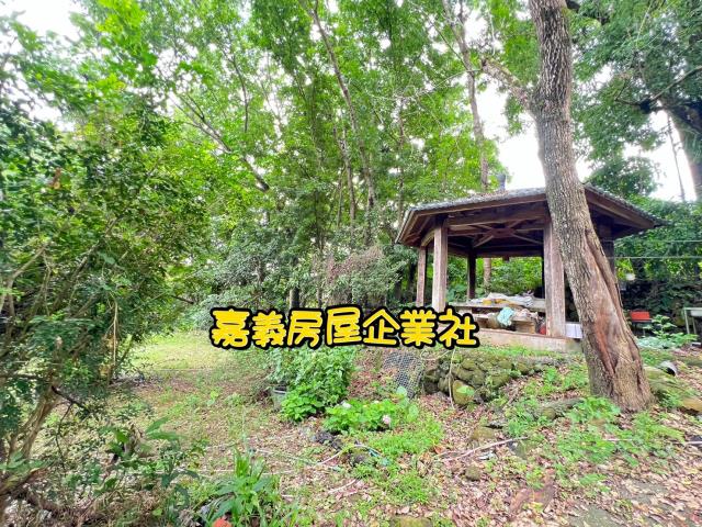嘉義農地-6