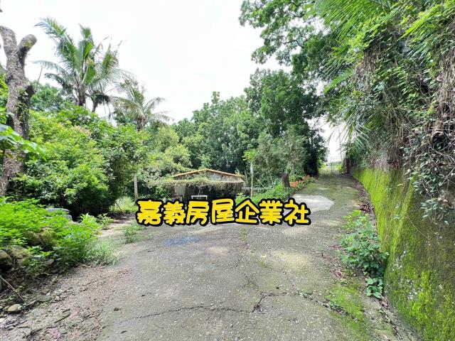 嘉義農地-7