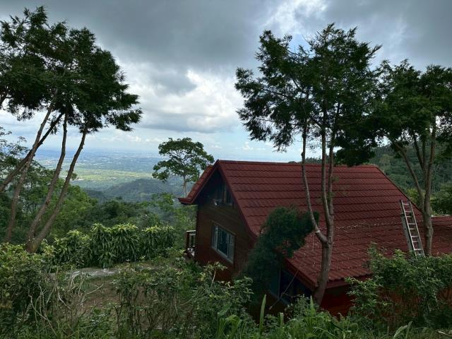 嘉義番路山坡地-11
