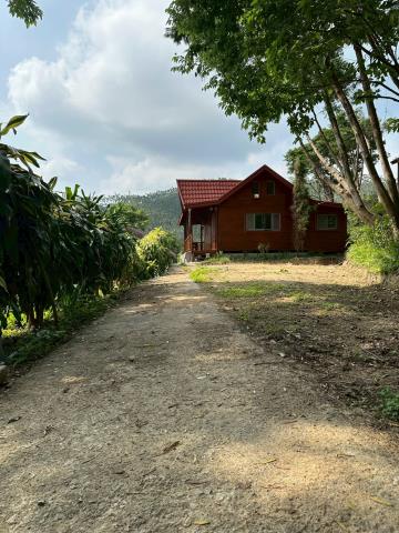 嘉義番路山坡地-0