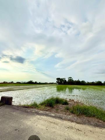 嘉義民雄農地-1