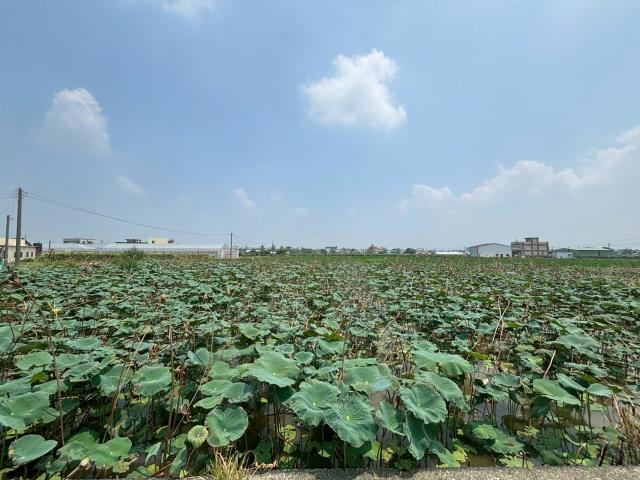 民雄農地-0