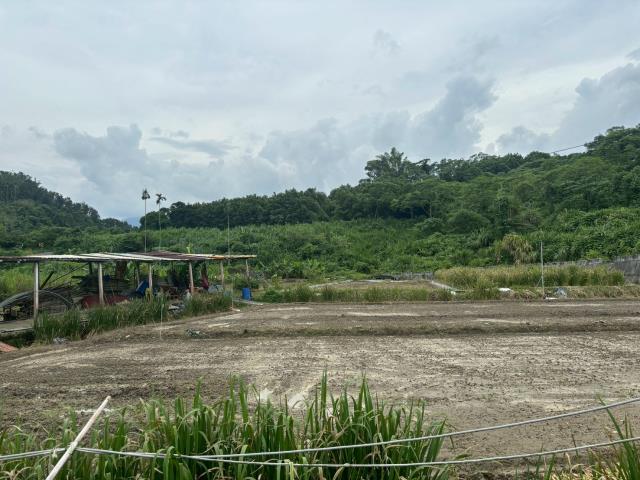 嘉義中埔農地-5