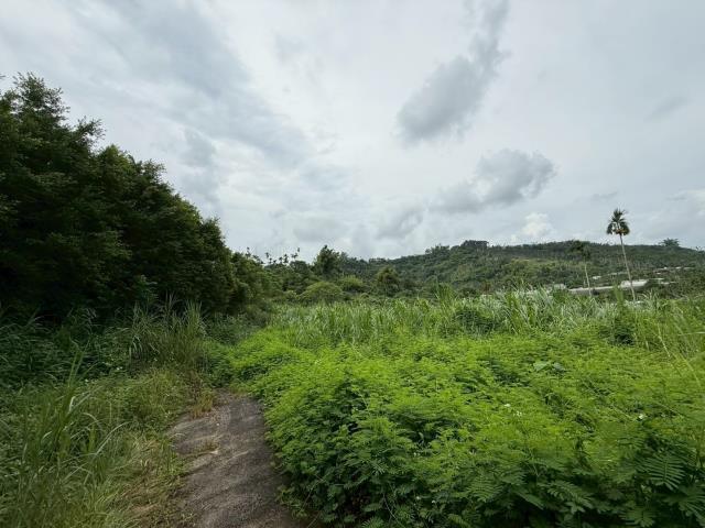 中埔農地-0