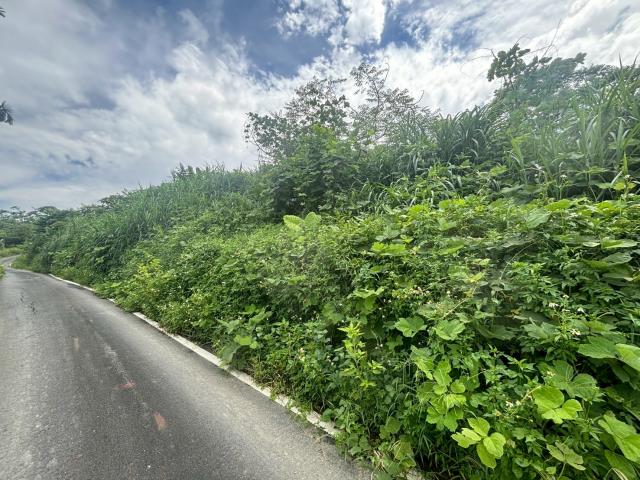 中埔農地-2
