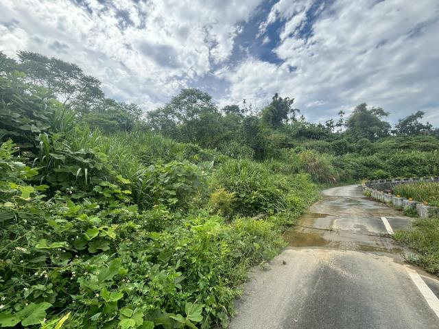 中埔農地-3