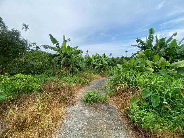 番路農地-0