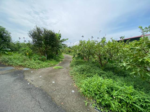 番路農地-6