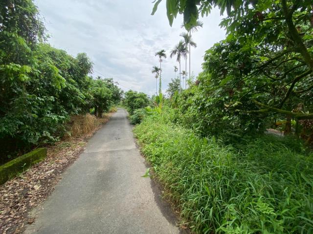 番路農地-8