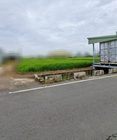 水上農地-1