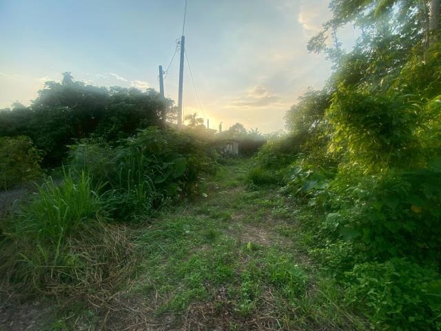 番路農地-1