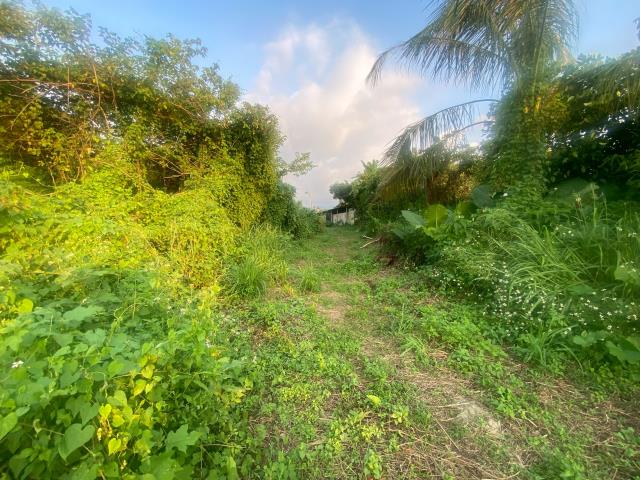 番路農地-3