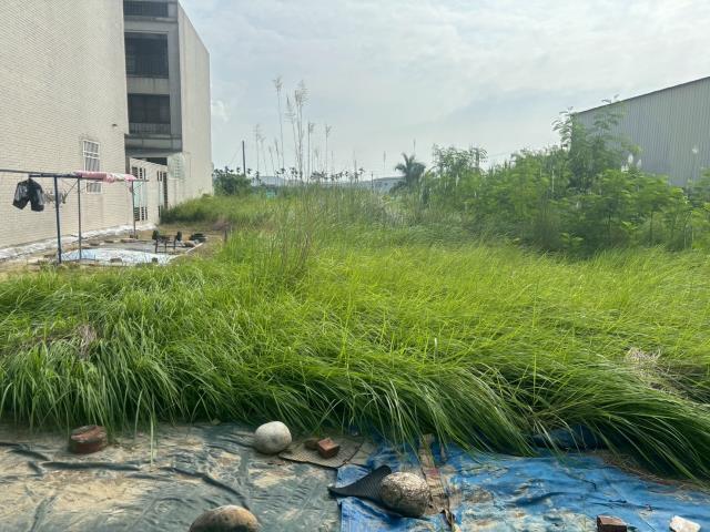 西區農地-0