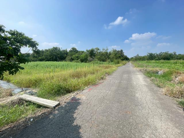 水上農地-2