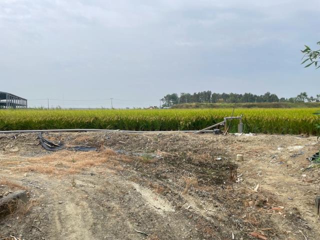 嘉義農地-3